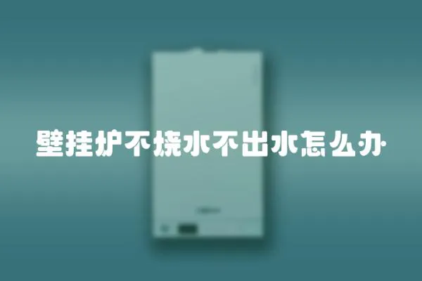 壁掛爐不燒水不出水怎么辦