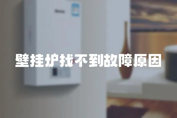 壁掛爐找不到故障原因
