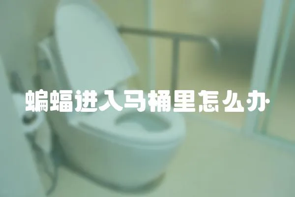 蝙蝠進入馬桶里怎么辦