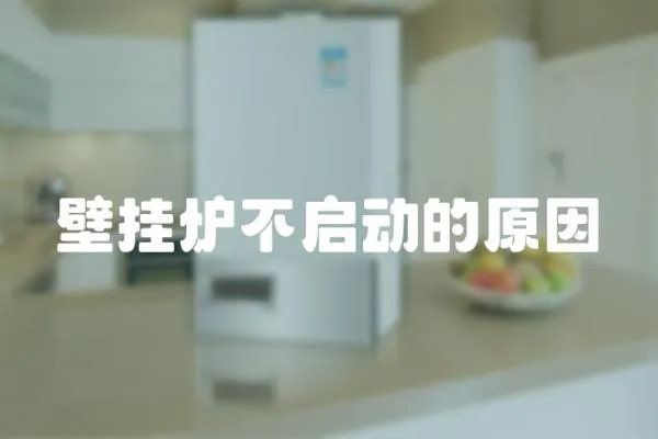壁掛爐不啟動(dòng)的原因