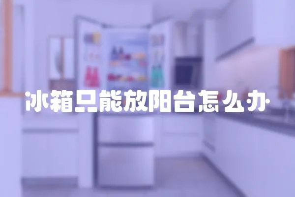 冰箱只能放陽臺(tái)怎么辦