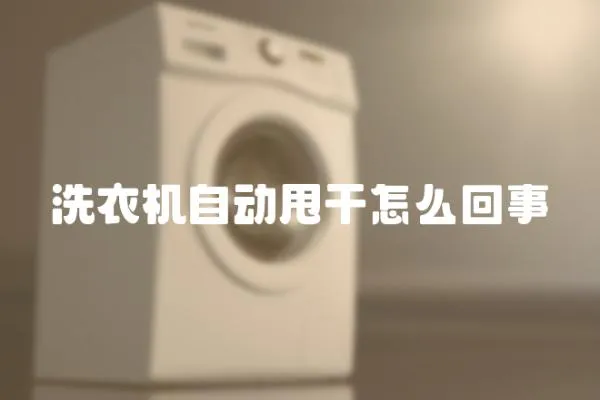 洗衣機自動甩干怎么回事