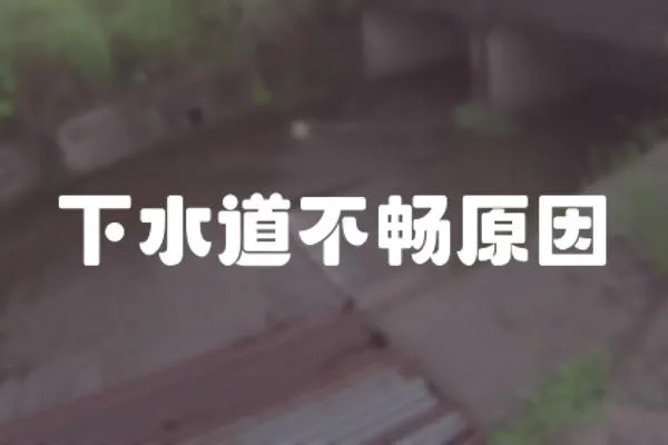 下水道不暢原因