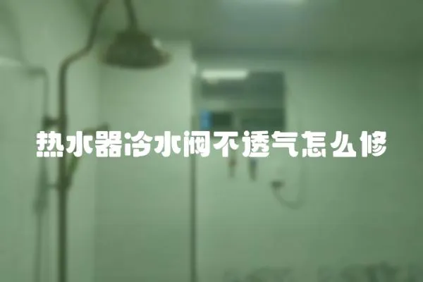 熱水器冷水閥不透氣怎么修