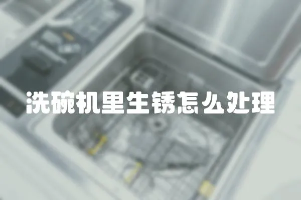 洗碗機里生銹怎么處理