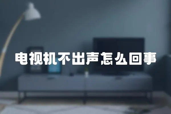 電視機不出聲怎么回事