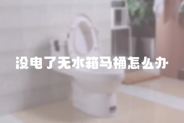 沒電了無水箱馬桶怎么辦