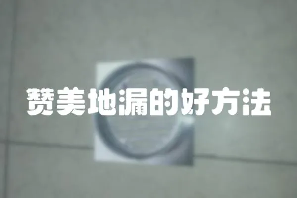 贊美地漏的好方法