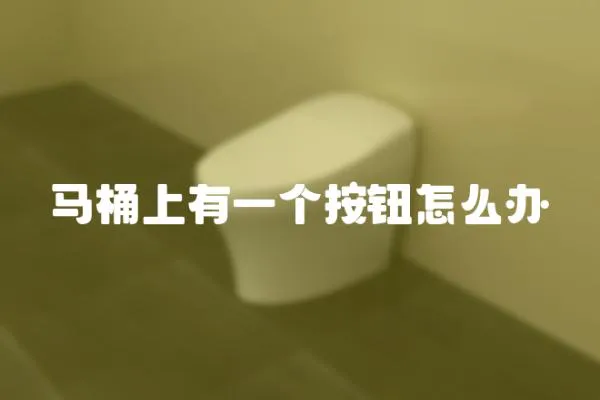 馬桶上有一個按鈕怎么辦