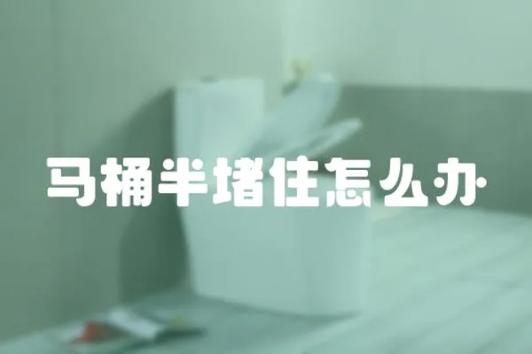 馬桶半堵住怎么辦