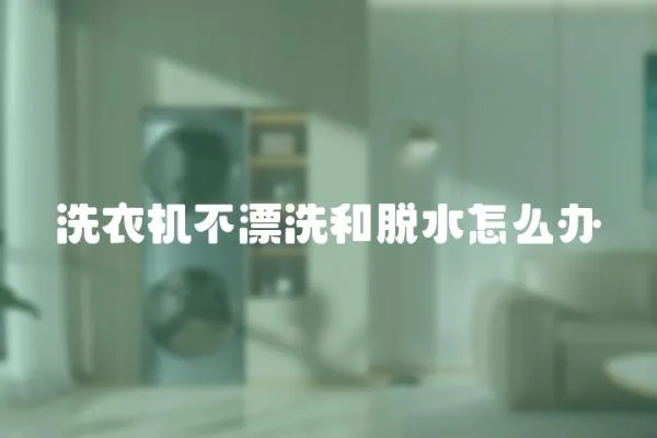 洗衣機不漂洗和脫水怎么辦
