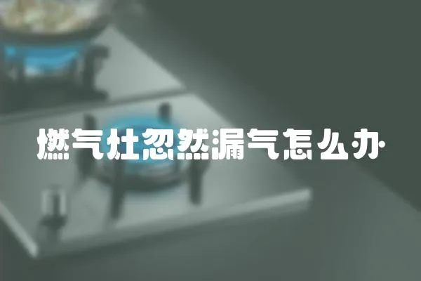 燃氣灶忽然漏氣怎么辦