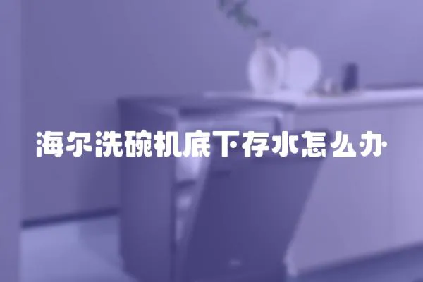 海爾洗碗機(jī)底下存水怎么辦