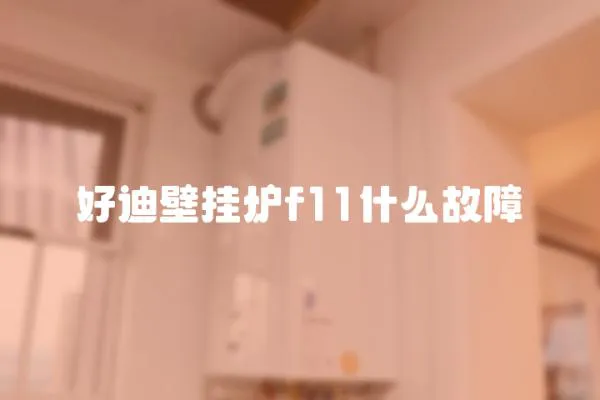 好迪壁掛爐f11什么故障