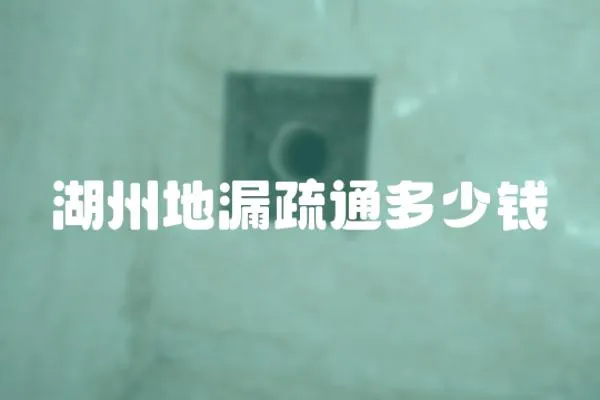 湖州地漏疏通多少錢