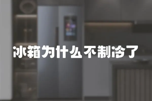 冰箱為什么不制冷了