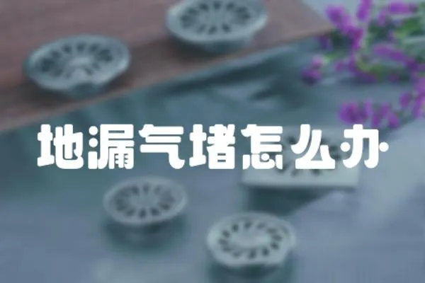 地漏氣堵怎么辦