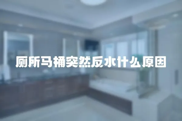 廁所馬桶突然反水什么原因