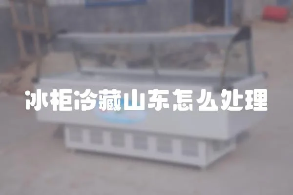 冰柜冷藏山東怎么處理