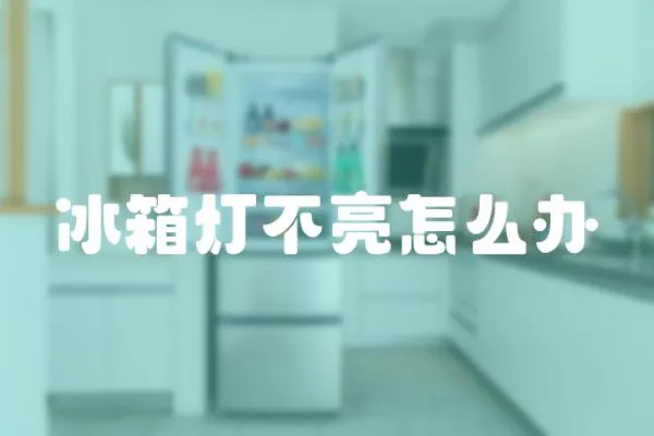 冰箱燈不亮怎么辦
