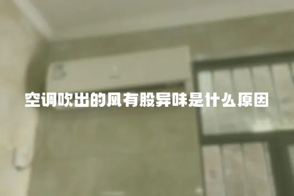 空調吹出的風有股異味是什么原因