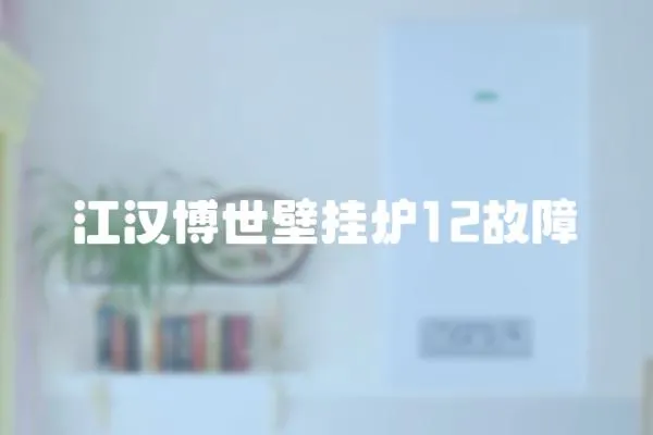 江漢博世壁掛爐12故障