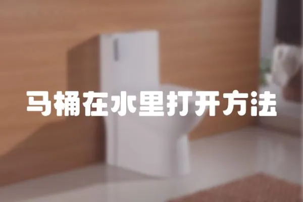 馬桶在水里打開方法