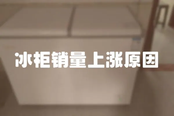冰柜銷量上漲原因