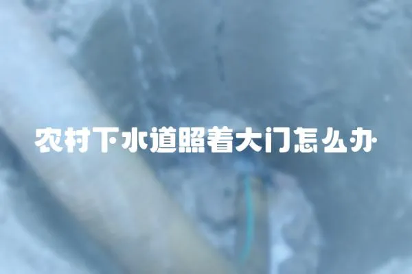 農(nóng)村下水道照著大門(mén)怎么辦
