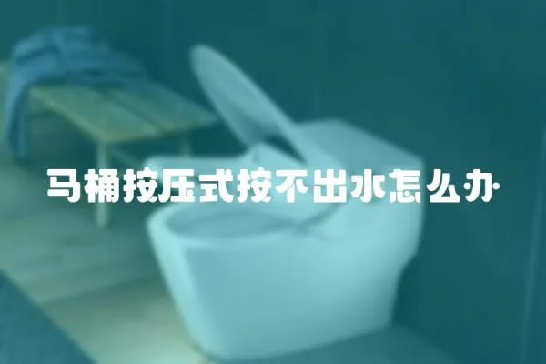 馬桶按壓式按不出水怎么辦