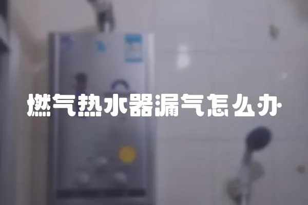 燃氣熱水器漏氣怎么辦