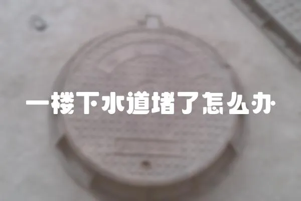 一樓下水道堵了怎么辦