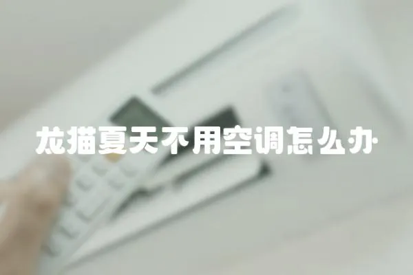 龍貓夏天不用空調怎么辦