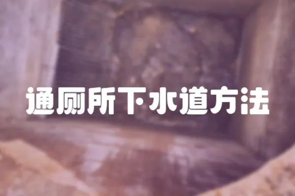 通廁所下水道方法