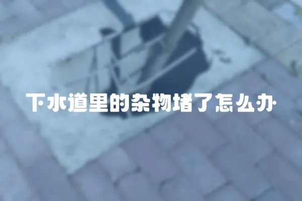 下水道里的雜物堵了怎么辦