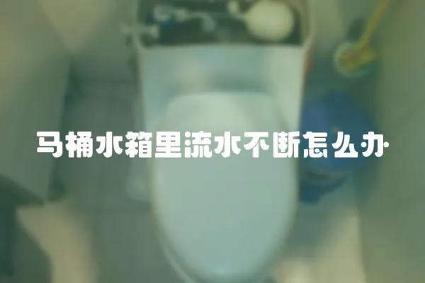 馬桶水箱里流水不斷怎么辦