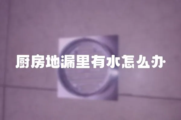 廚房地漏里有水怎么辦