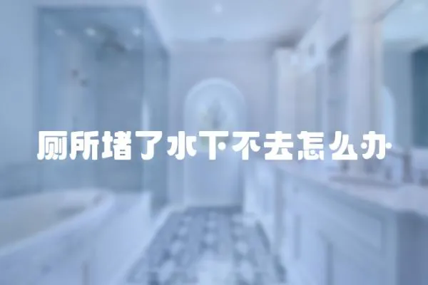 廁所堵了水下不去怎么辦