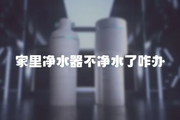 家里凈水器不凈水了咋辦