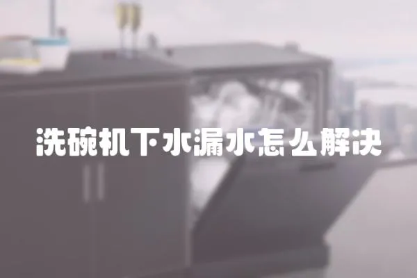 洗碗機下水漏水怎么解決