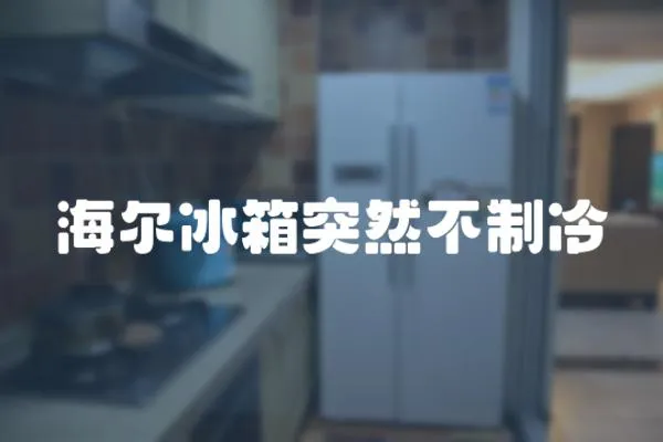海爾冰箱突然不制冷