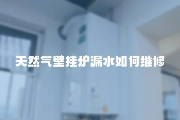 天然氣壁掛爐漏水如何維修