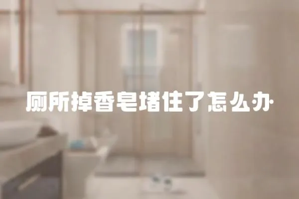 廁所掉香皂堵住了怎么辦