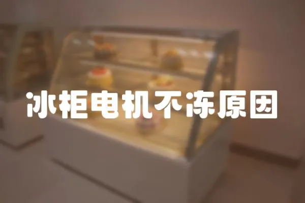 冰柜電機不凍原因