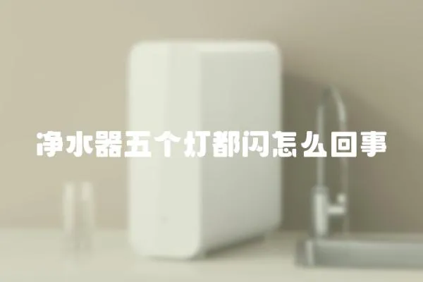 凈水器五個燈都閃怎么回事