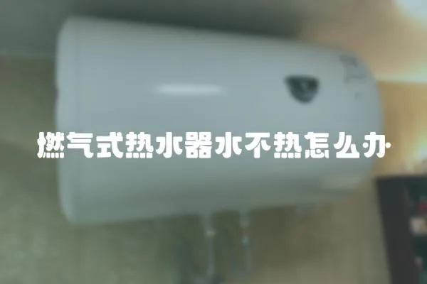燃氣式熱水器水不熱怎么辦