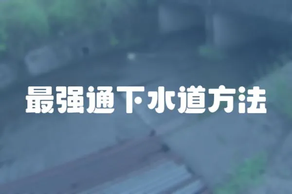 最強通下水道方法