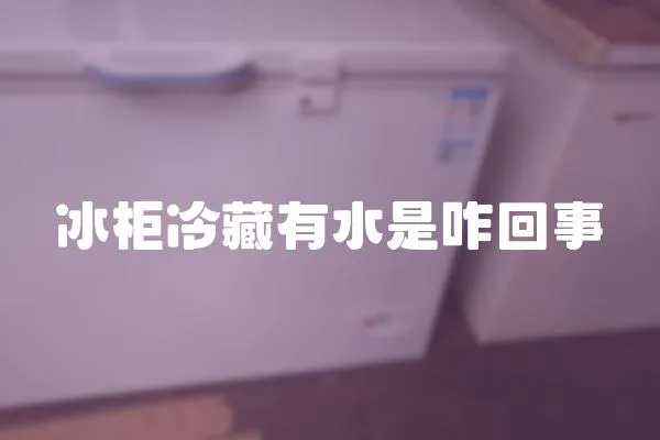冰柜冷藏有水是咋回事