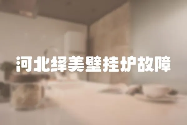 河北繹美壁掛爐故障