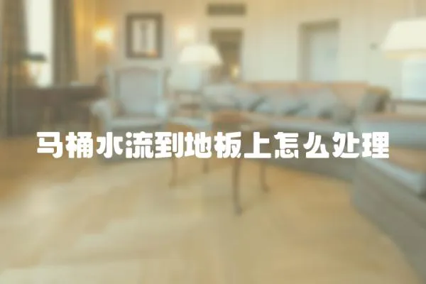 馬桶水流到地板上怎么處理